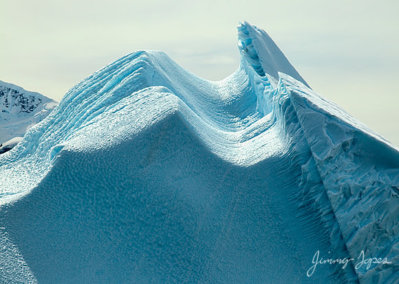 Iceberg - Antarctica