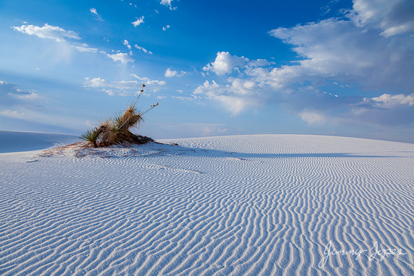White Sands National Monument