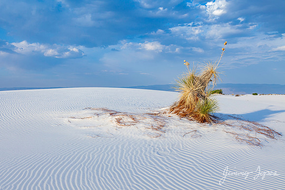 White Sands National Monument
