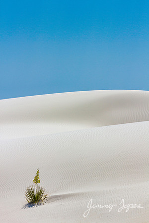 White Sands National Monument