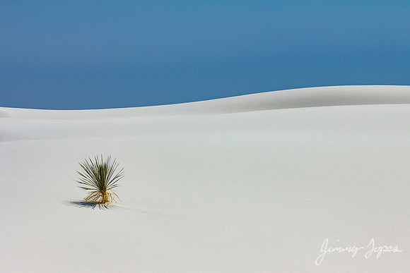 White Sands National Monument