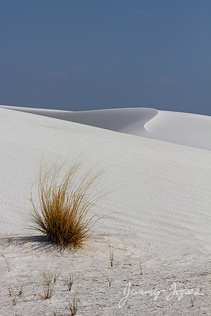 White Sands National Monument