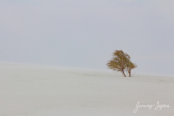 White Sands National Monument