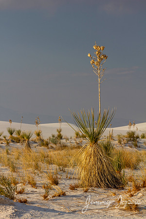 White Sands National Monument