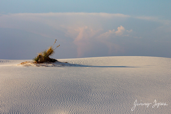 White Sands National Monument
