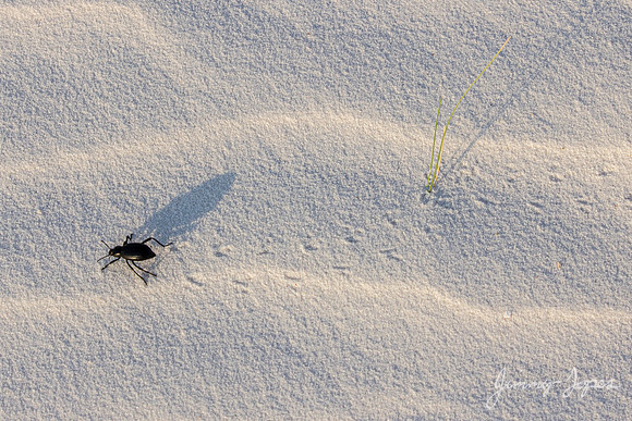 White Sands National Monument