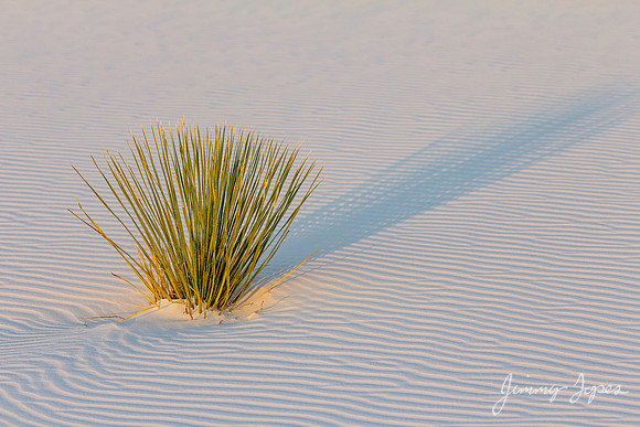 White Sands National Monument