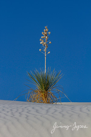 White Sands National Monument