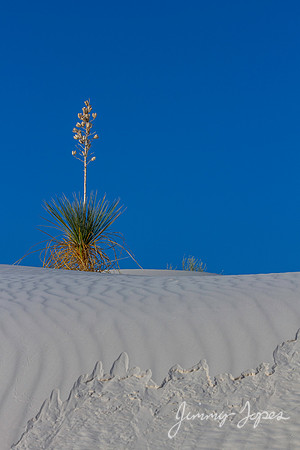 White Sands National Monument