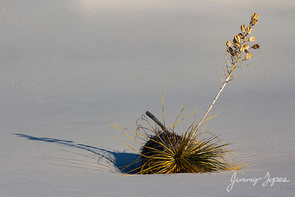 White Sands National Monument