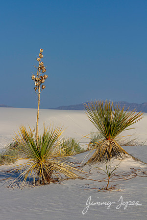 White Sands National Monument