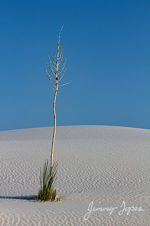 White Sands National Monument