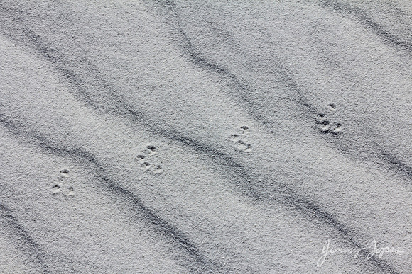 White Sands National Monument