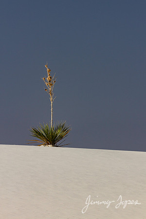 White Sands National Monument