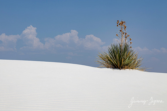 White Sands National Monument