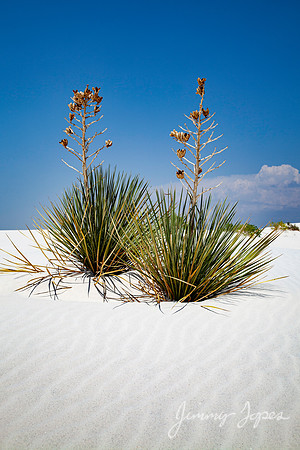 White Sands National Monument