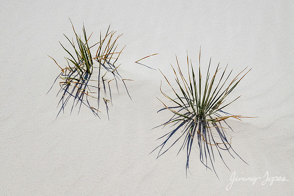 White Sands National Monument