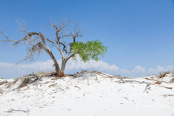 White Sands National Monument