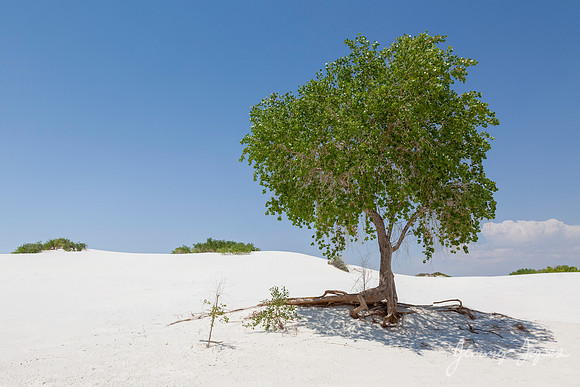 White Sands National Monument