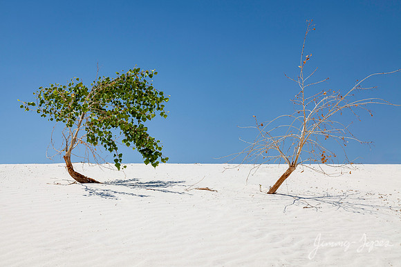 White Sands National Monument