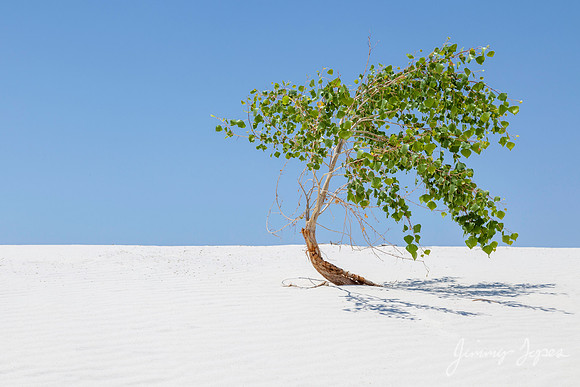 White Sands National Monument