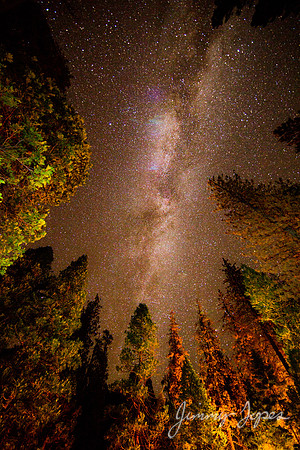 Kings Canyon National Park