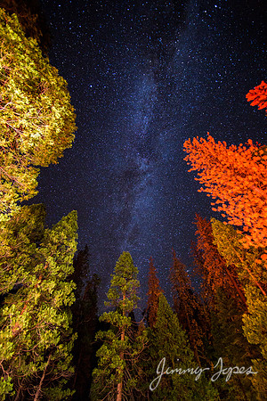 Kings Canyon National Park