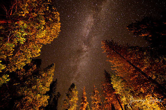 Kings Canyon National Park