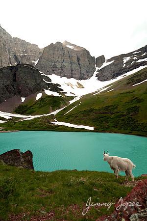 Glacier NP