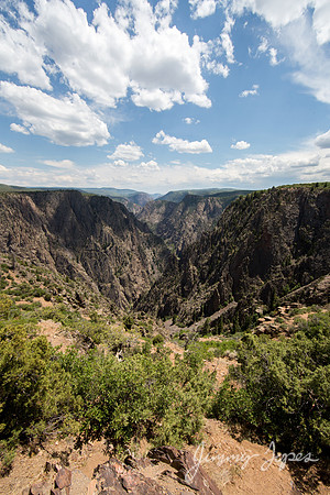 Black Canyon Of The Gunnison