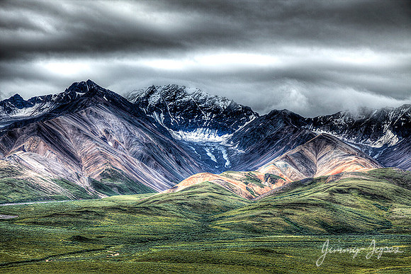 Denali National Park - Alaska