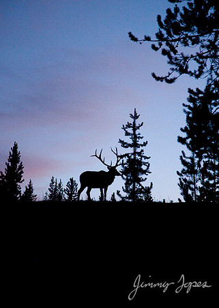 Yellowstone National Park