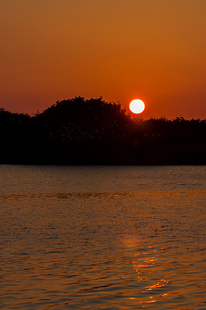 Everglades National Park Landscape