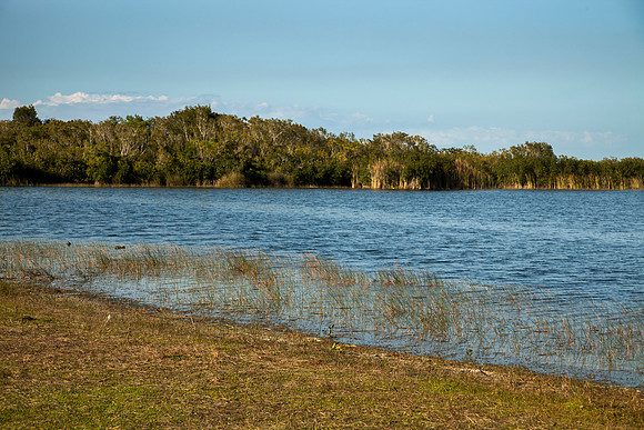 Everglades National Park Landscape