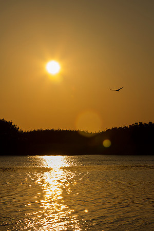Everglades National Park Landscape