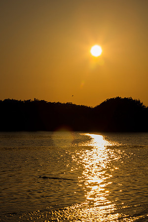 Everglades National Park Landscape