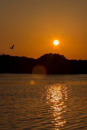 Everglades National Park Landscape