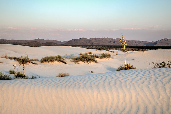 Salt Basin Dunes