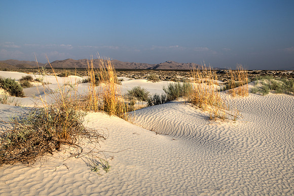 Salt Basin Dunes