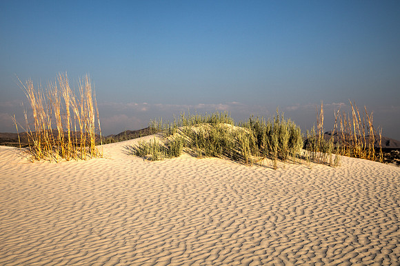 Salt Basin Dunes