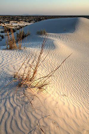 Salt Basin Dunes