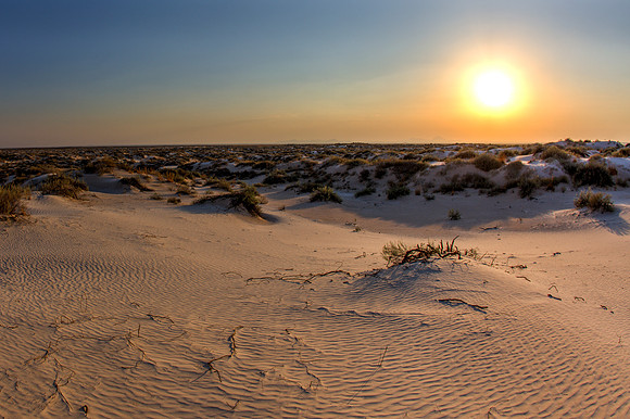 Salt Basin Dunes