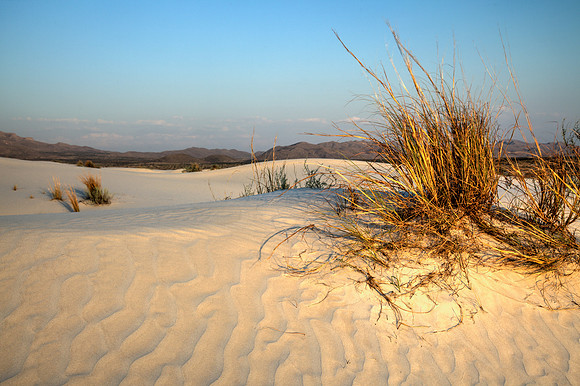 Salt Basin Dunes