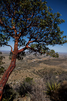 Guadalupe Peak Area