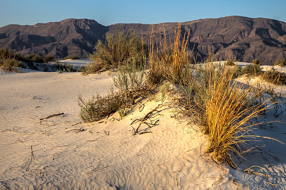 Salt Basin Dunes