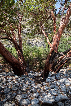 McKittrick Canyon Grotto