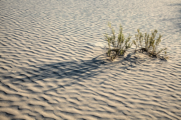 Salt Basin Dunes