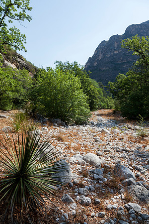 McKittrick Canyon Grotto