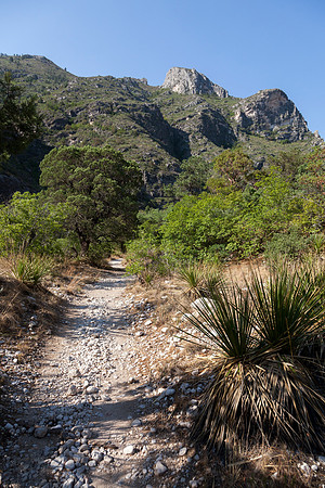 McKittrick Canyon Grotto