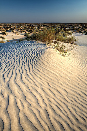 Salt Basin Dunes